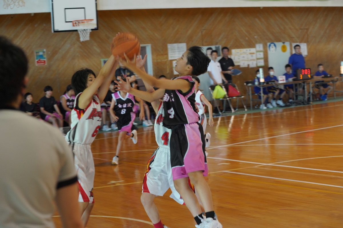 DSC02530.JPG