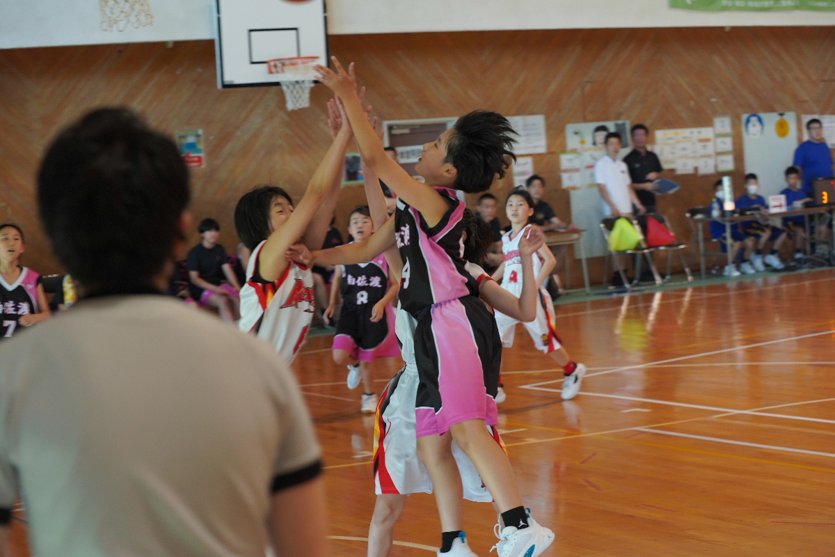 DSC02531.JPG