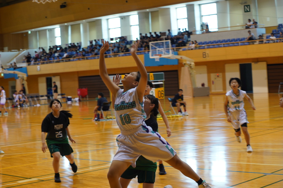 DSC04809.JPG