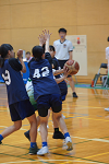 DSC05046_thumb.png